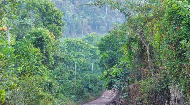 A Flona Tapajós é uma das mais conservadas das 55 Florestas Nacionais da Amazônia Brasileira. Fica no Pará, com acesso por terra a partir de Santarém.