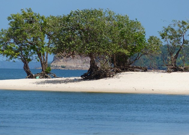 Entre o Rio Tapajós e a Floresta Amazônica