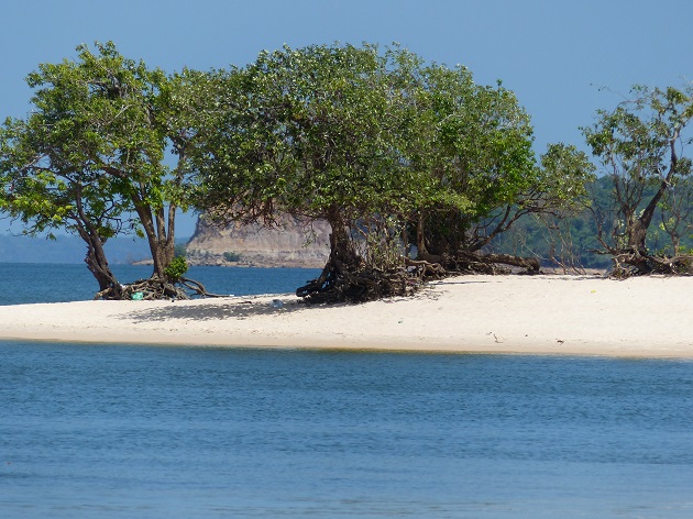 Entre o Rio Tapajós e a Floresta Amazônica