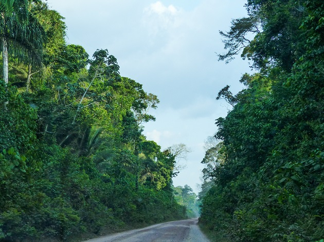 Transtapajós cercada por floresta