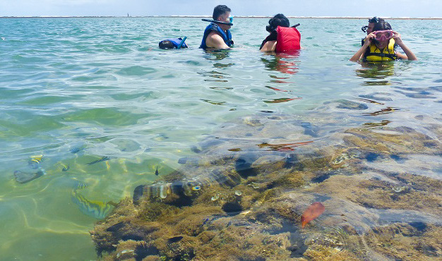 Taipu de Fora: como chegar e aproveitar a melhor praia de Maraú