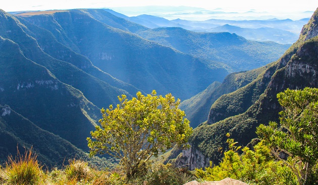 De Cambará do Sul a Urubici: Um roteiro pelos Aparados da Serra