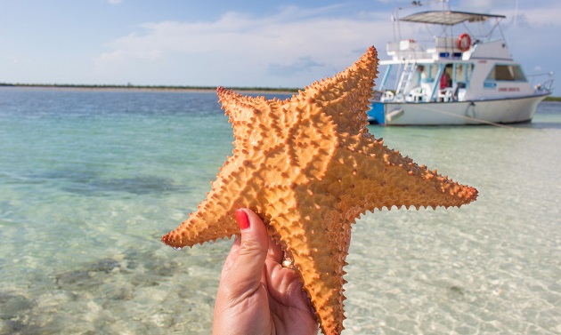 Um dia de paraíso nas praias de Cayo Largo, em Cuba