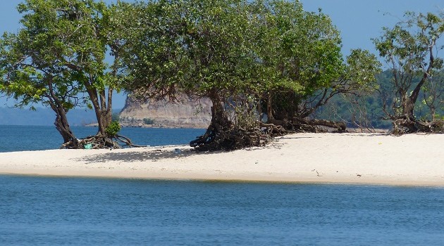 As areias brancas do Rio Tapajós, no Pará, começam a aparecer a partir de julho. Alter do Chão é a mais conhecida mas o Tapajós é repleto de lindas praias escondidas entre o rio e a floresta.