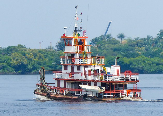 Como é o passeio de barco até o Encontro das Águas de Manaus, na Amazônia